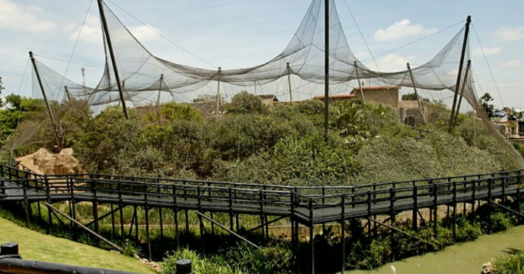 montecasino-bird-gardens-