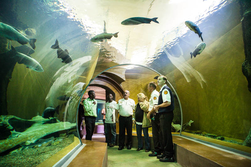 johannesburg-zoo-&amp-military-history-museum--combined-tour--