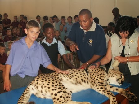 Ann van Dyk Cheetah Centre
