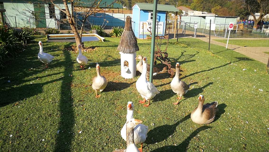 Grants Dairy