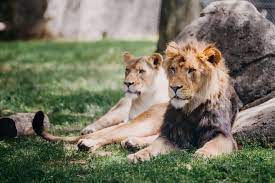 Lowry Park Zoo